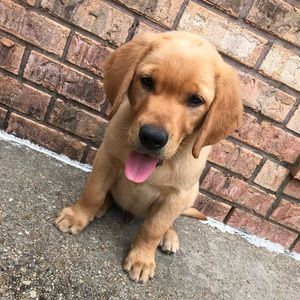 Meet your Posher, Chloe